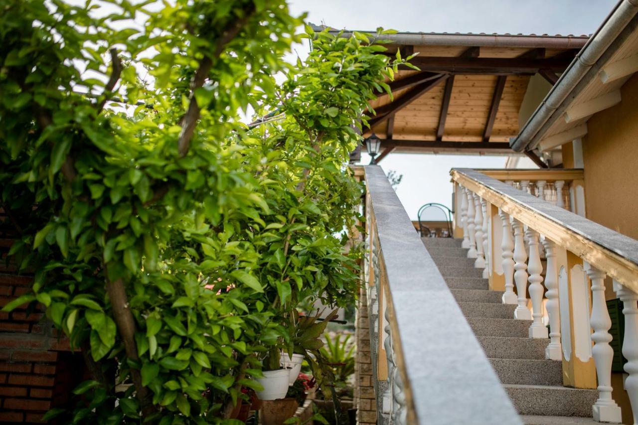 Apartmani Godinic Palit エクステリア 写真